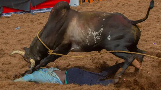 ஜல்லிக்கட்டு போட்டிகளில் மரணங்கள் தொடர்வது ஏன்?