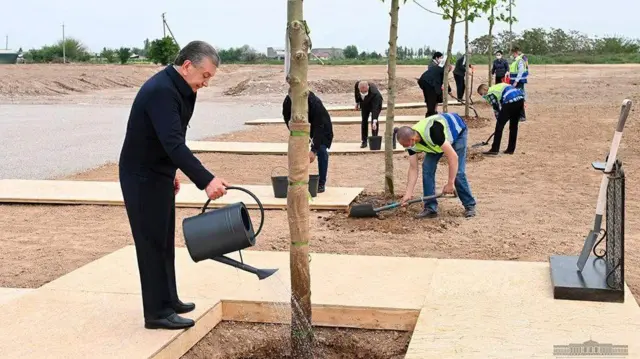 Президент Мирзиёев кўчатга сув қуймоқда.