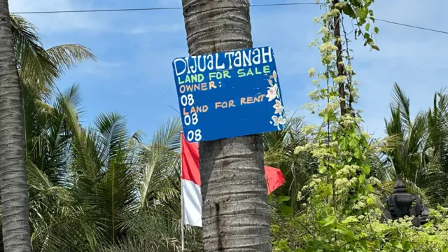 Sebuah plang promosi tanah dijual berwarna biru ditempelkan di batang pohon kelapa di sebuah wilayah di Bali.