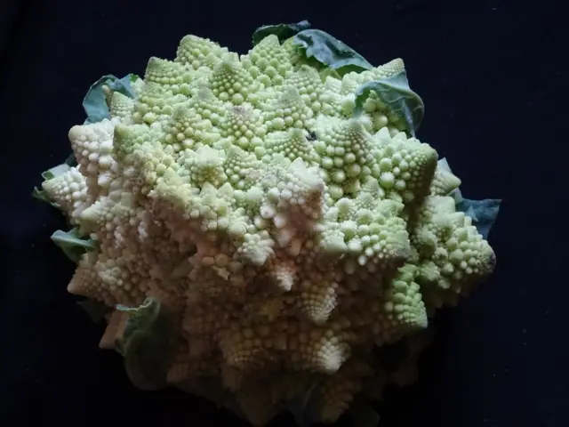 Здоровая еда