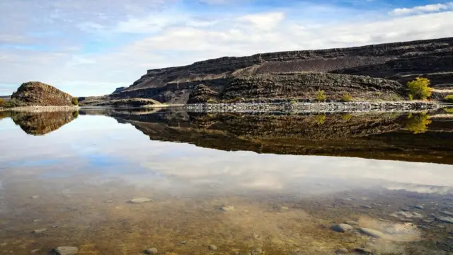 （圖片來源：Zack Frank）