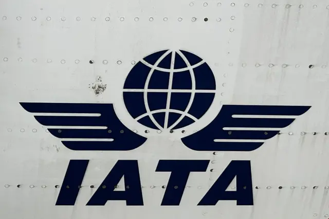Logo de la IATA en un avión.