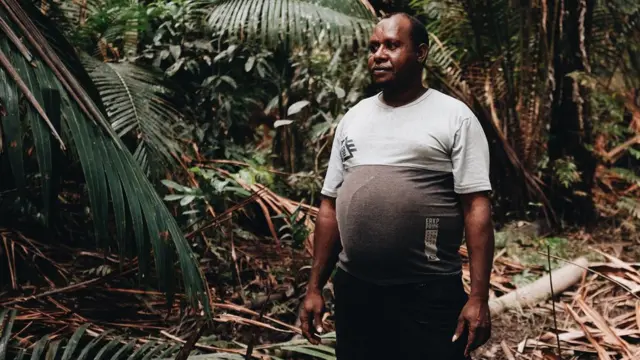 Papua, pembakaran hutan, Korindo, Korea Selatan, petrus kinggo