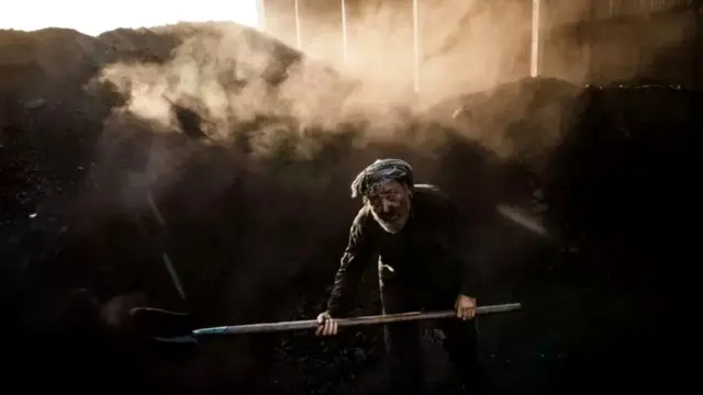 अफ़ग़ानिस्तान अफ़ीम तालिबान तस्करी