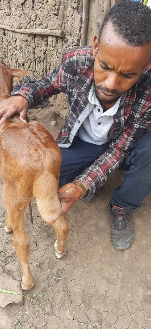 Ogeessi fayyaa horii Dr Ziyaad jabbii karaatti faltii buustu malee dhalattees wal'aansa baqaqsanii yaaluun wal'aanuu BBC'tti hime