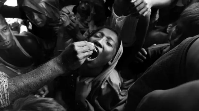 কলেরার টিকা