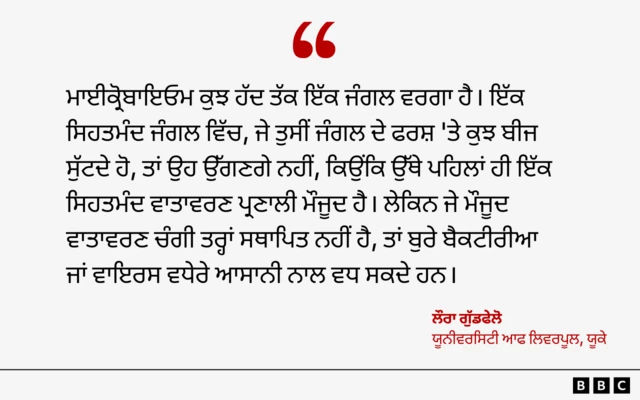 ਔਰਤਾਂ ਦੀ ਸਿਹਤ