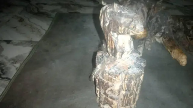 Ikenga