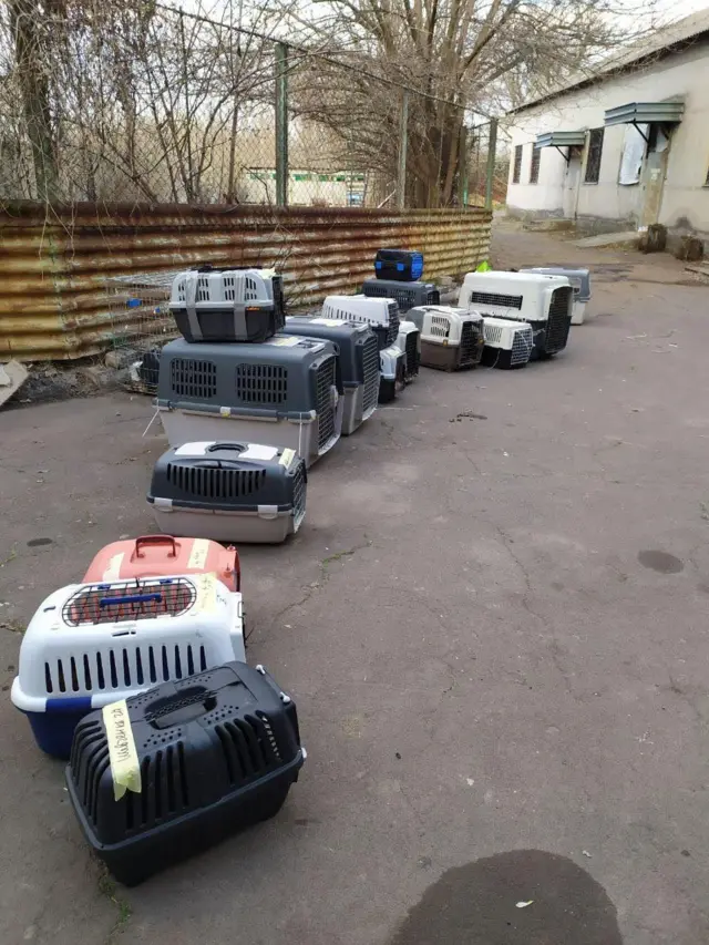 Результат одного евакуаційного рейсу "12 Вартових"