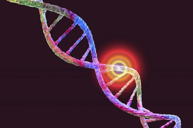 ดีเอ็นเอ