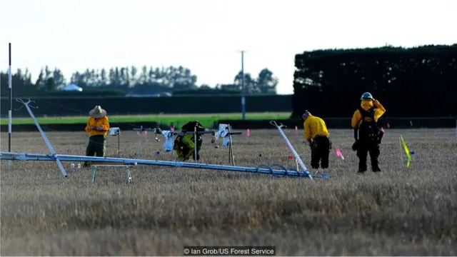 जंगल में आग