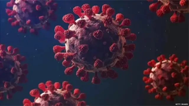 કોરોના વાઇરસ