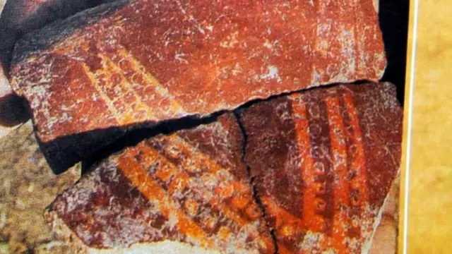 ஆதிச்சநல்லூர், அகழ்வாய்வில் கிடைத்த பொருட்கள்