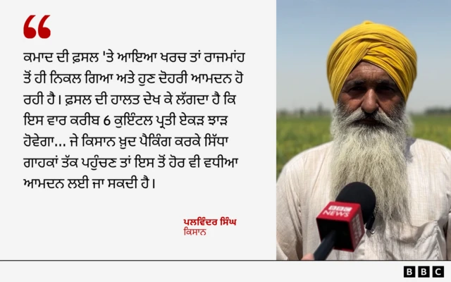 ਪਲਵਿੰਦਰ ਸਿੰਘ