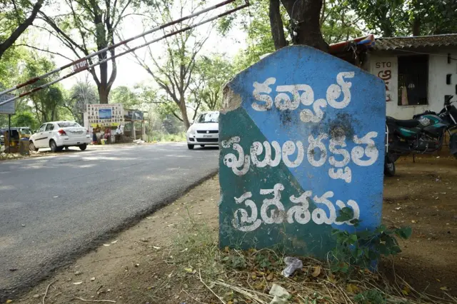 టైగర్