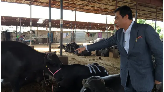 गौरक्षक