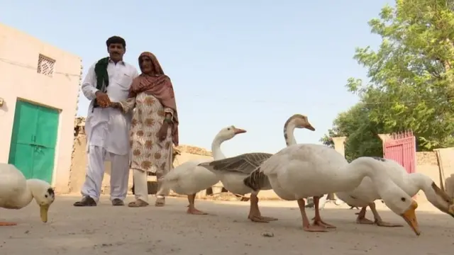 दाफिया बाई