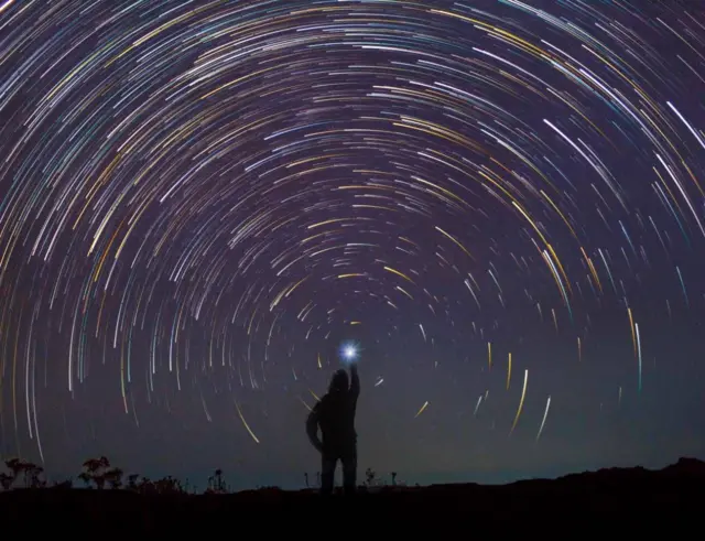 या सर्वेक्षणातून नेमकं काय दिसलं पाहूयात