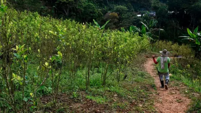 Campesino en Briceño, en el departamento de Antioquia.