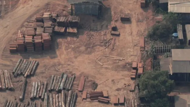 Imagme aérea de toras de madeira que foram extraídas ilegalmente