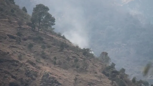 'आमतौर पर अभी हम देखते हैं कि कितने हेक्टेअर जंगल जला. इसमें कितना कार्बन संचित रहा होगा. लेकिन वास्तविक नुकसान कहीं अधिक है'