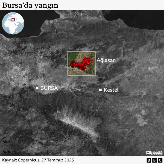 Bursa'da yanan alan