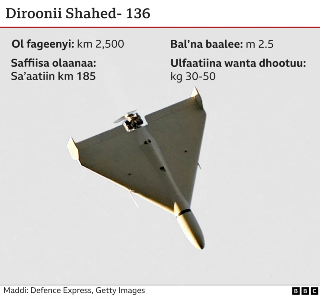 Droniiwwan Iraan