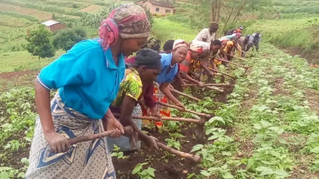 Wanawake wakijishughulisha na kilimo ili kupata kipato