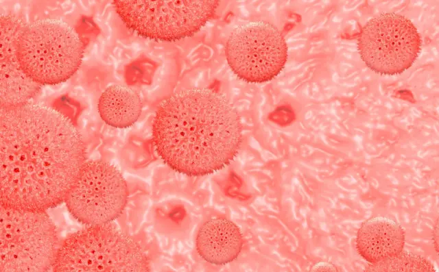 બીબીસી ગુજરાતી, ગુજરાત, બીબીસી, અમદાવાદ,