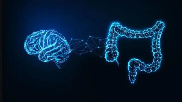 Aworan ifun ati kokoro aifojuri