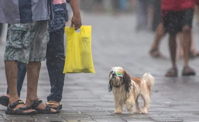 મુંબઈનો વરસાદ