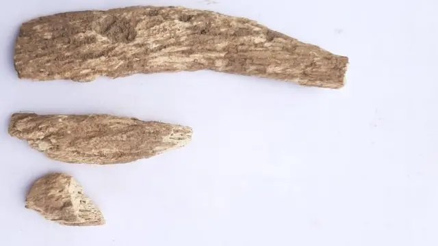 தொல்லியல் ஆராய்ச்சியில் கிடைத்த மண் பொருள்