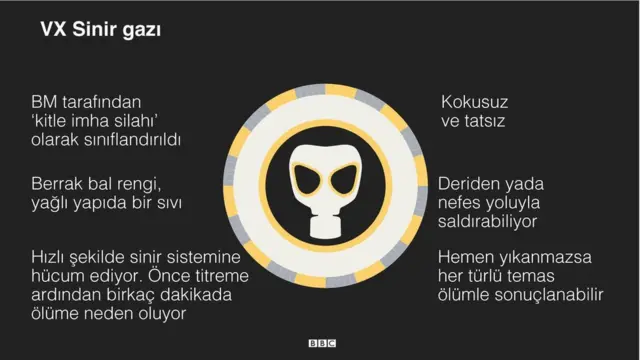 VX Sinir Gazı bilgileri