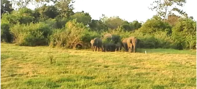 CENTRE FOR ECO-CULTURAL STUDIES