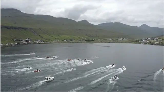 Тварин заганяють у бухту моторними човнами і гідроциклами