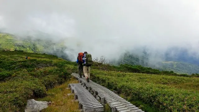 Тропа в виде деревянного настила ведет вас к цели
