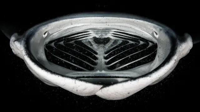 A manta ray fish opens its mouth wide