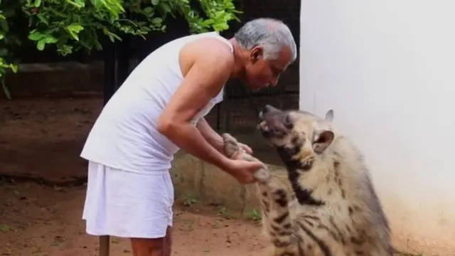 कोरोना