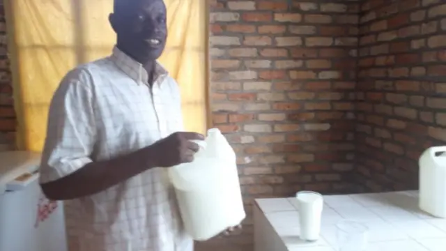 Grégoire Miburo ari mu bagura amata y'inka kuri abo borozi bazihawe