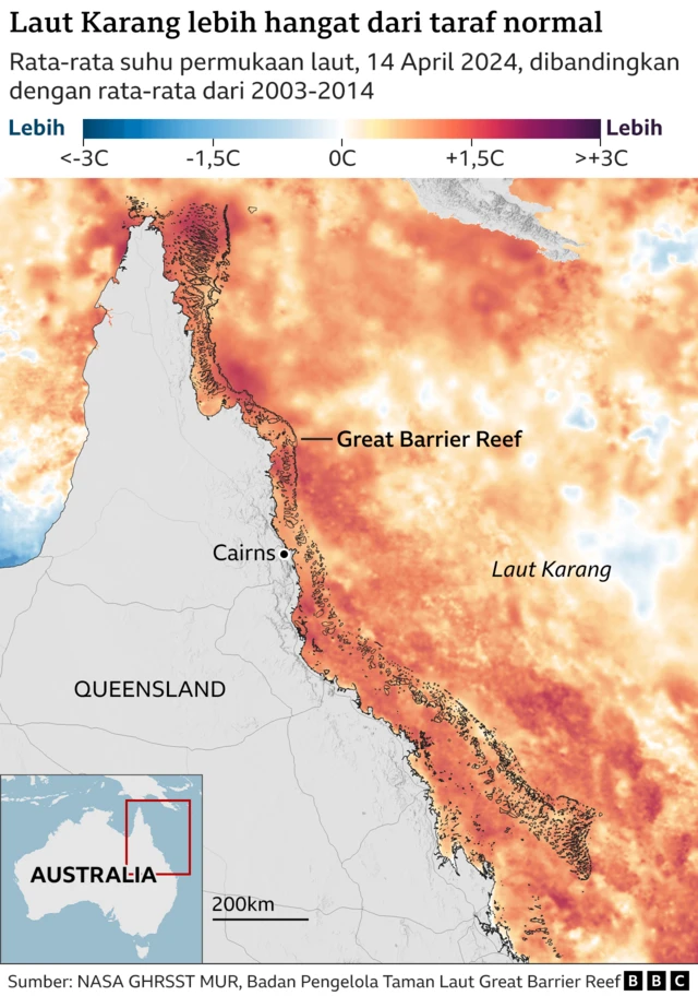 Laut Karang Australia
