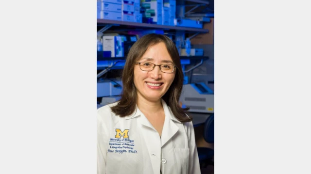 ਡਾ਼ ਜੀਮੋ ਬੋਰਜਿਗਿਨ