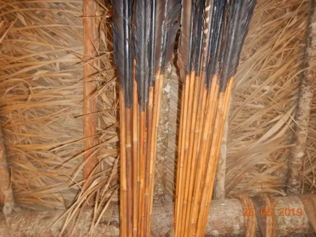 மாசகோ பழங்குடி, அமேசான், பிரேசில்