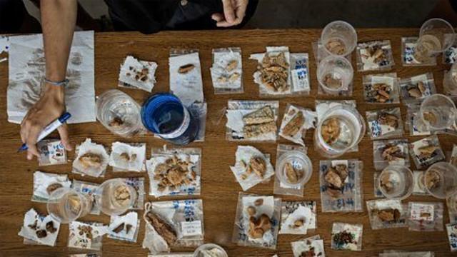 Amostras arqueológicasquina sorte onlineuma mesa