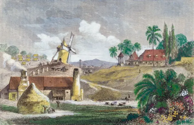 Dibujo de Martinica.