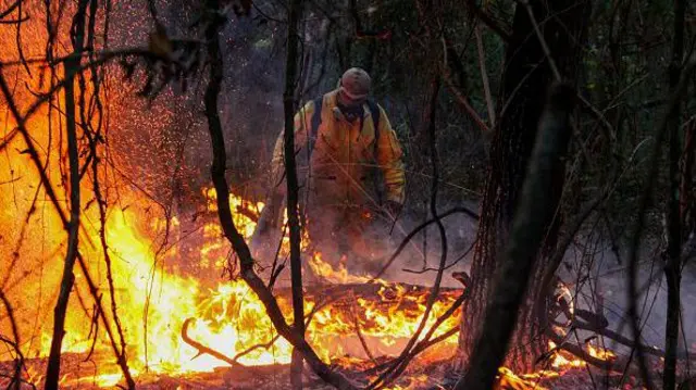 Bombeiro combate queimada no Brasil