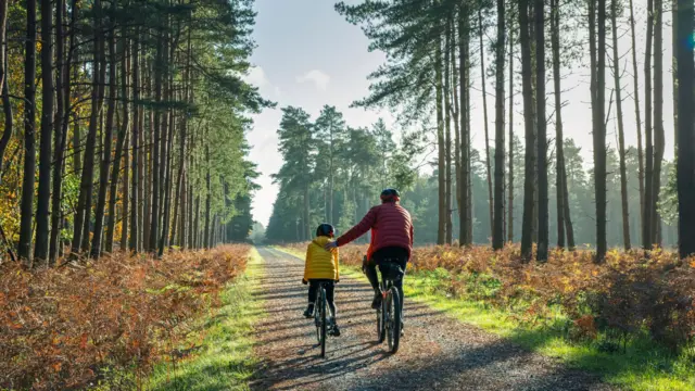 Pai e filho andampremier bet 6bicicleta