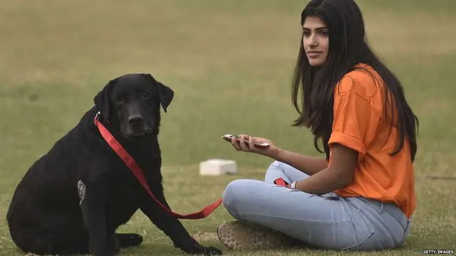 ਕੁੱਤਾ ਪਾਲਣਾ