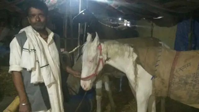 सोनपुर पशु बाज़ार