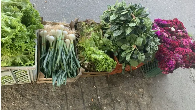 Ružica Latinković, siromaštvo