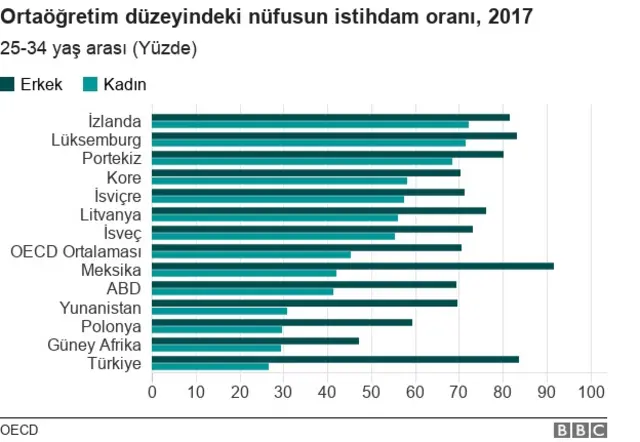istihdam kadın erkek